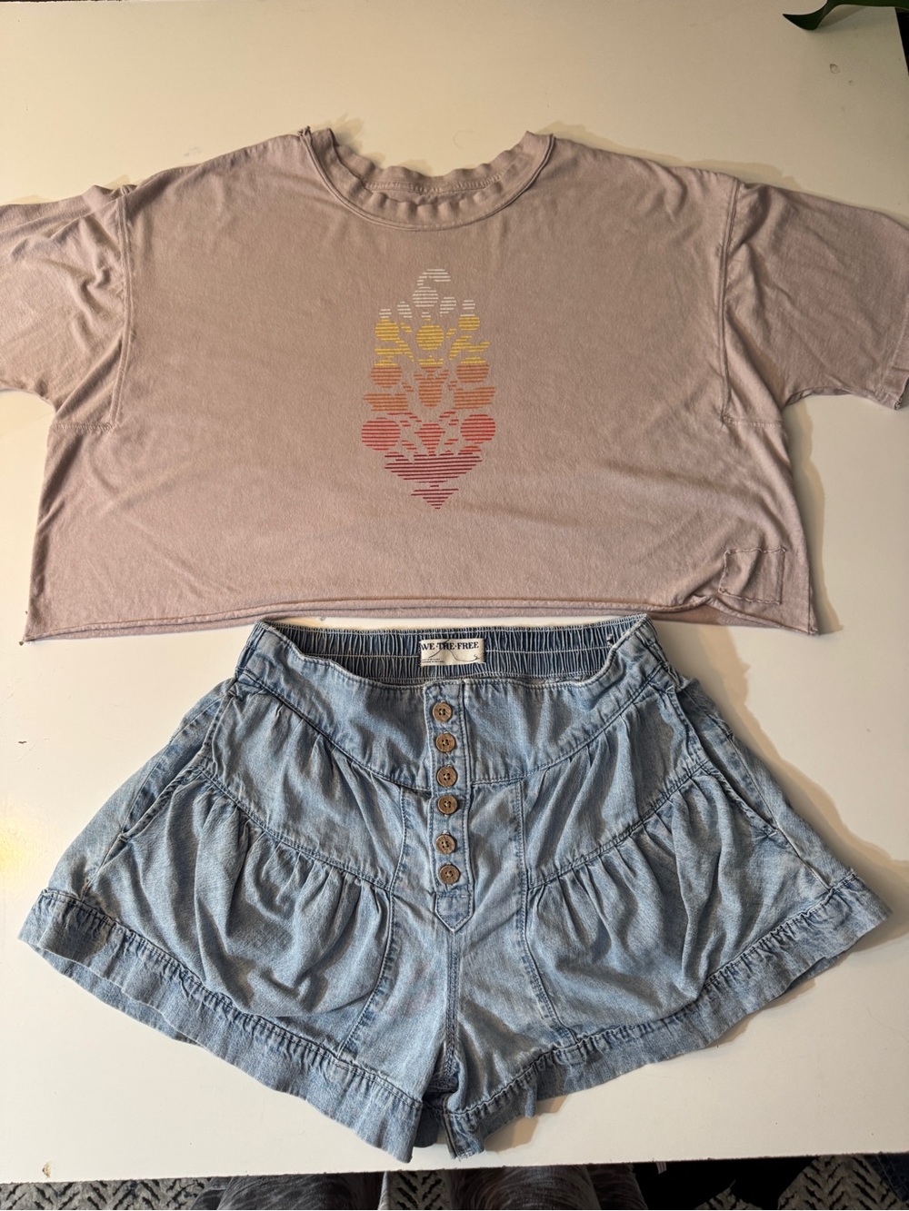 Free People We The Free light wash chambray denim shorts and FP Movement T Shirt